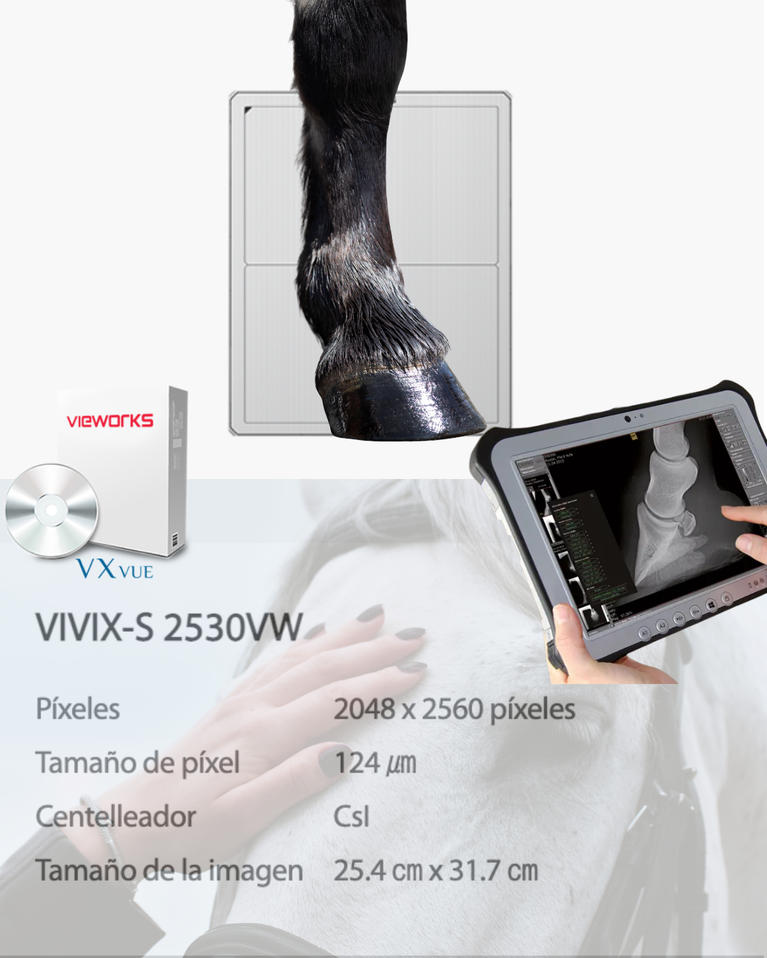 Detector VIVIX-S 2530VW (equinos)