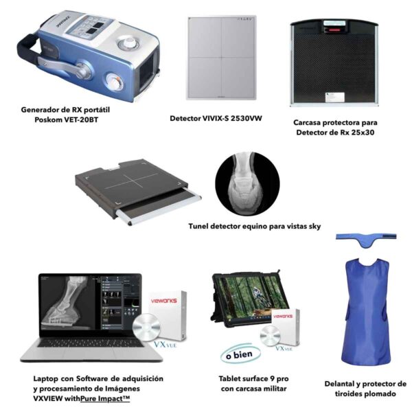 kit rx equino