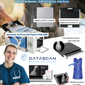 kit radiologia equino