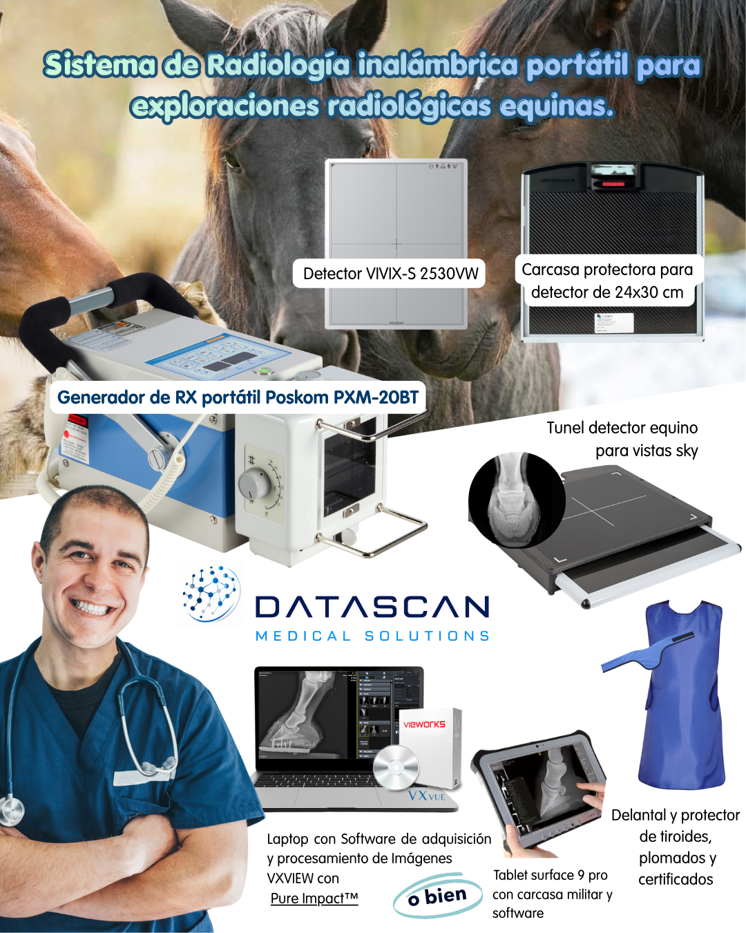 kit radiologia equino